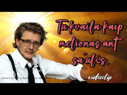 Tu Kvaila Kaip Melionas Ant Sáulės Tekstas Mano Muzika Suno Ai