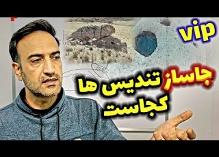  پیداکردن جاساز گنج تندیس های حیوانی
