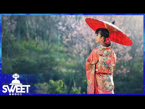 WALID AMECTUH JAPONIA واليد أمشطوح جابونيا