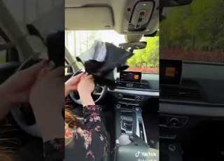  شماسه الزجاج الأمامى للسياره