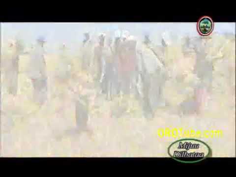 Oromiya Qabeenyaan Badhaatu