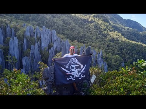 Mulu Pinnacles Sarawak Malaysia S Toughest Mountain To Hike