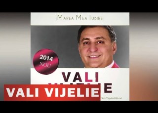  VALI VIJELIE E BINE BINE FEAT NINEL DE LA BRAILA OFICIAL 2014