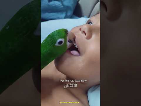 هل يمكن للبغاء إزالة الأسنان اللبنية Shorts