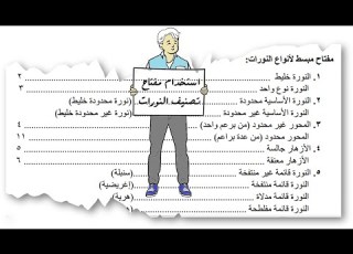  التدريب على التعرف على النورات باستخدام مفتاح النورات