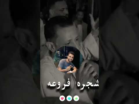 القرايب زرع خايب اسمع ابداع عمار ابو يحيي Tik Tok ياسر رشاد جديد اكسبلور كف صعيدي تصميمي