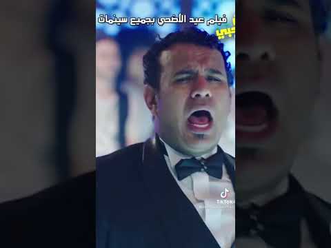 محمود الليثي ورضا البحراوي