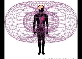 علم النفس الفسيولوجي المحاضرة الثانية الجهاز العصبي