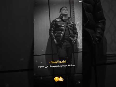 غاب الأسد يوم رضا البحراوي اشتراك اكسبلور غاب الأسد يوم رضا البحراوي اشتراك اكسبلور