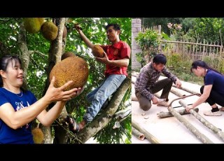  Surprised By The Achievements Resulting From Mến And Thúy S Hard Work In Agriculture