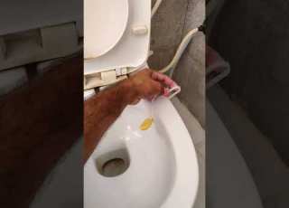 How To Fit Harpic Hygienic Toilet Rim Block Lavender