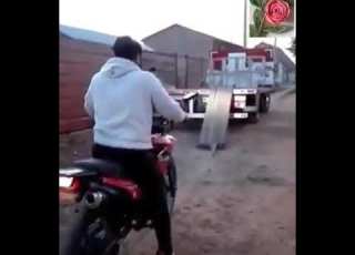  وريهم الشقاوة ياواد يالهوى الحقونى الواد وقع