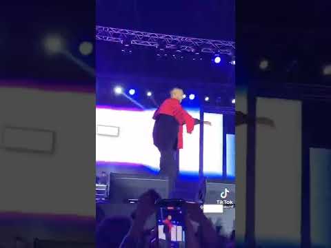 ويجز باظت خالص من الحفله