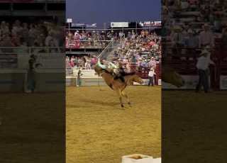  Bareback Bronc Rider Gets It Done In Gladewater Shorts Rodeoshorts Broncriding Broncs Cowboy