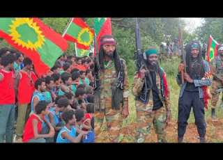  Oduu Adooleessa 15 2026 Injifannoo WBO Eebba Miseensota Haaraa Lolli Hammaate
