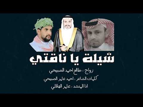 شيلة يا ناقتي زواج طالع احمد الصبيحي ادا عامر الهلالي