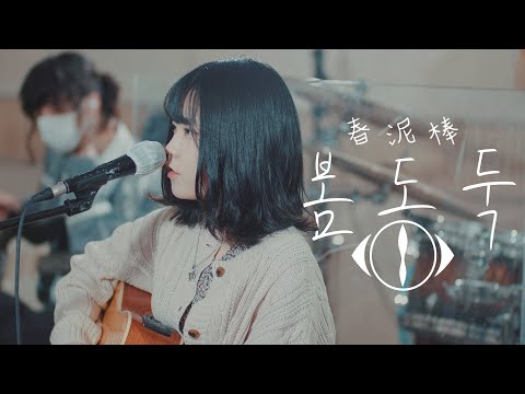 앞으로 얼마나 봄을 만날 수 있을까 요루시카 봄도둑 ヨルシカ 春泥棒 Spring Thief 이지두밴드 커버