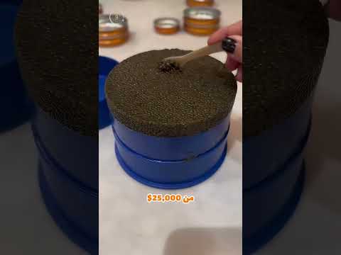 أغلى كافيار في العالم