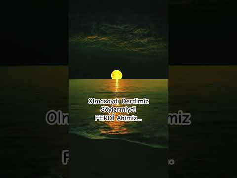 FERDİ TAYFUR GÖNÜL YORGUNU