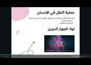  الباب الأول أحياء الصف الثاني تمريض عملية النقل في الإنسان الجهاز الدوري شرح مبسط