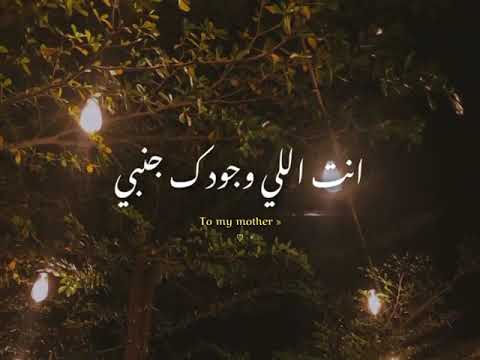 اكتر حد يفرحني عمرو دياب