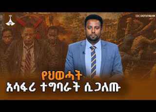  ወጣቱን የስልጣን ዕድሜ ማራዘሚያ ያደረገው ሕገ ወጡ የህወሓት ቡድን አሳፋሪ ተግባራት ሲጋለጥ TPLF Criminal Group EBCDOTSTREAM