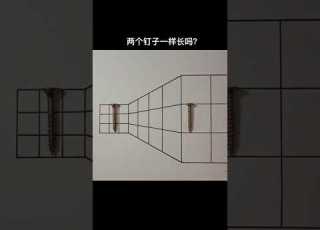 Which One Is Longer My Eyes Tell Me On The Left