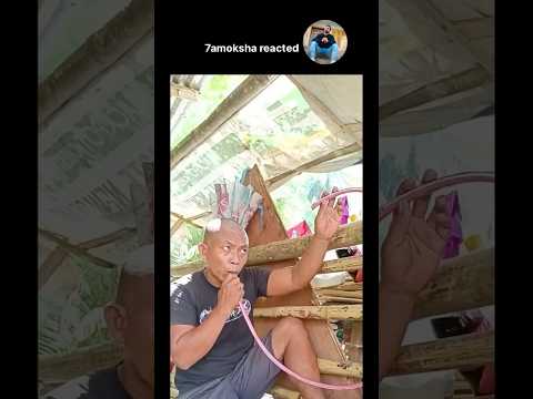 شربتها ياكروديا