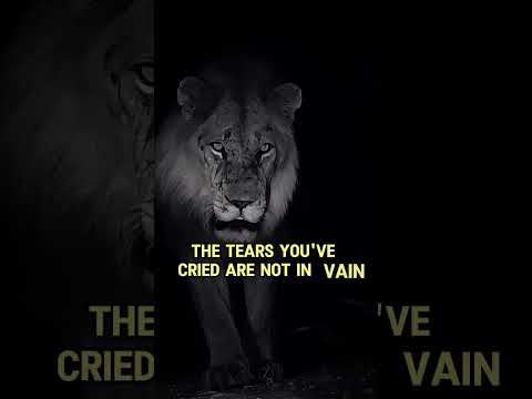 Every Tear Has A Purpose Pain Today Power Tomorrow Shorts Motivation