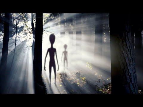 هل في مخلوقات فضائية ولا لأ