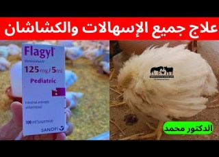  Treat All Diarrhea And Diarrhea In Chickens In Just Two Days With The Doctor