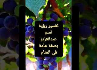 تفسير رؤية اسم عبد العزيز فى المنام للمراة والرجل رؤية اسم عبدالعزيز العزيز اسماء زيزو عبد