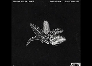 DNMO Wolfy Lights Bombalaya Blom Remix
