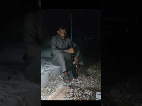 شيلة ارفع البيرق