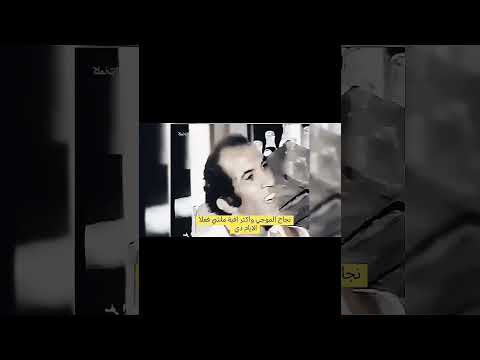 انت متعرفش أنا مين نجاح الموجى اكتر افيه ترند فى البلد