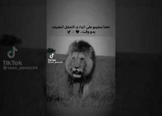 حقنا بنجيبو على الهادي