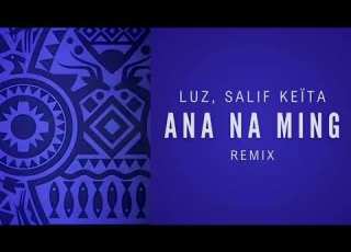  LUZ Salif Keita Ana Na Ming Remix