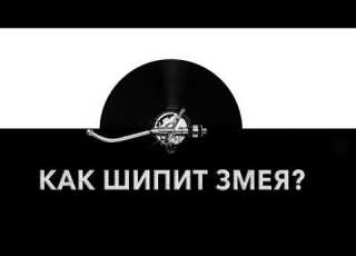  Как шипит змея Звук шипящей змеи и какие звуки издает шипящая змея