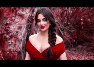 Bindiya Chamakne Lagi Lyrical Video Song Dil Ne Jise Apna Kaha Salman Khan Bhoomika Chawla