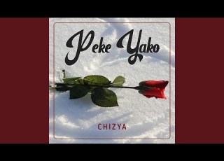  Peke Yako