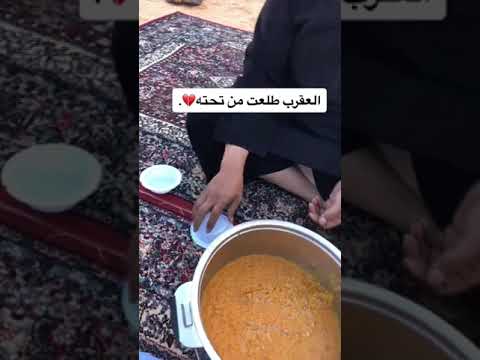 مقاطع مضحكة السعودية اكسبلور ضحك مقاطع مقاطع مضحكة السعودية اكسبلور ضحك مقاطع