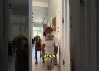 ماذا فعل سونو حتى طرده صاحب المنزل