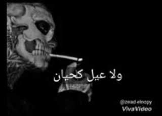 ولا خد يا ابن السوده