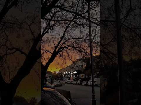 صابر الرباعي اتحدى بيك كل الوجود