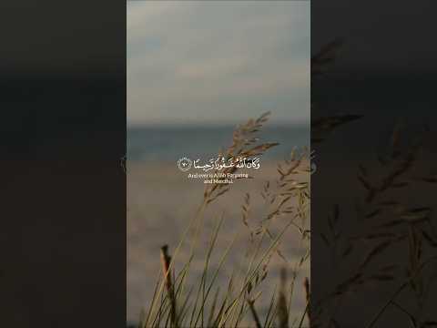 وكان الله غفور ا رحيم ا قرآن كريم بصوت ابراهيم ادريس حالات قرآن كريم Quran Status وكان الله غفور ا رحيم ا قرآن كريم بصوت ابراهيم ادريس حالات قرآن كريم Quran Status