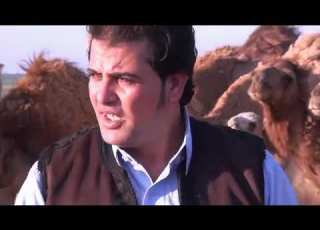 صابر الجميعى هذا طبعك