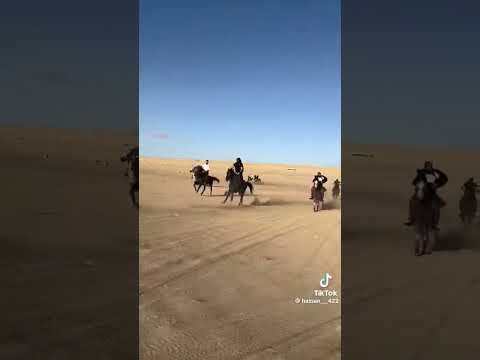 أجمل أغنية سنة ٢٠٢٤ الرد قاسي Trending Music السعودية الاردن الدول العربية المغرب Explore