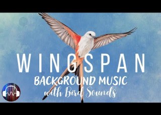  Wingspan Board Game Music Background Soundtrack For Playing Wingspan With Bird Sounds