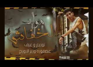  مولد الخفاش مزيكا وتوزيع عصفوره وزير الاورج هير شوارع مصر 2020