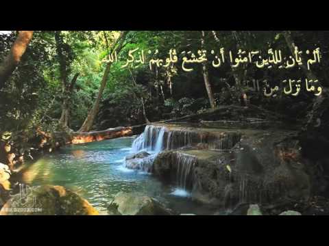 أ ل م ي أ ن ل ل ذ ين آم ن وا منصور السالمي